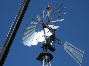 Large Windmills - 12'