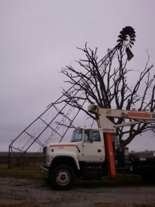 Windmill That Fell Into Tree    